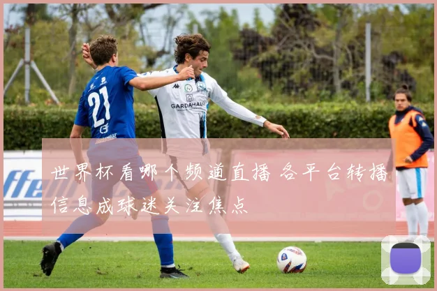 世界杯看哪个频道直播 各平台转播信息成球迷关注焦点
