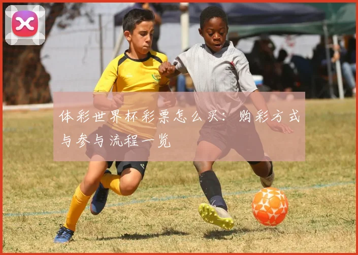 体彩世界杯彩票怎么买:购彩方式与参与流程一览