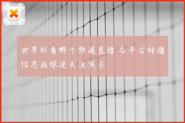 世界杯看哪个频道直播 各平台转播信息成球迷关注焦点